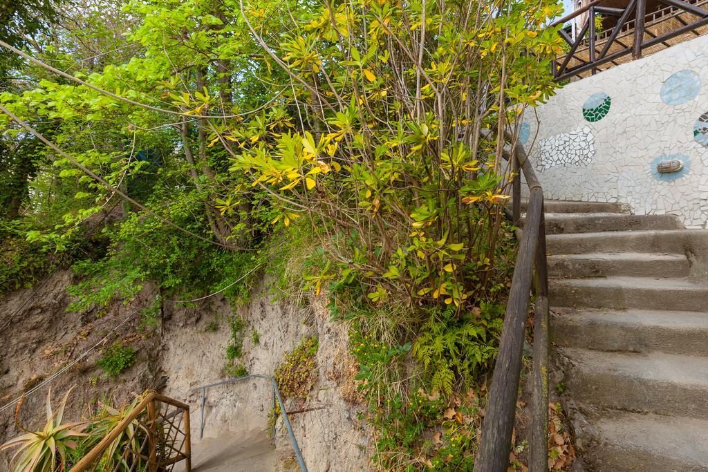 منزل الضيف Barano dʼIschia  في Nitrodi Experience المظهر الخارجي الصورة