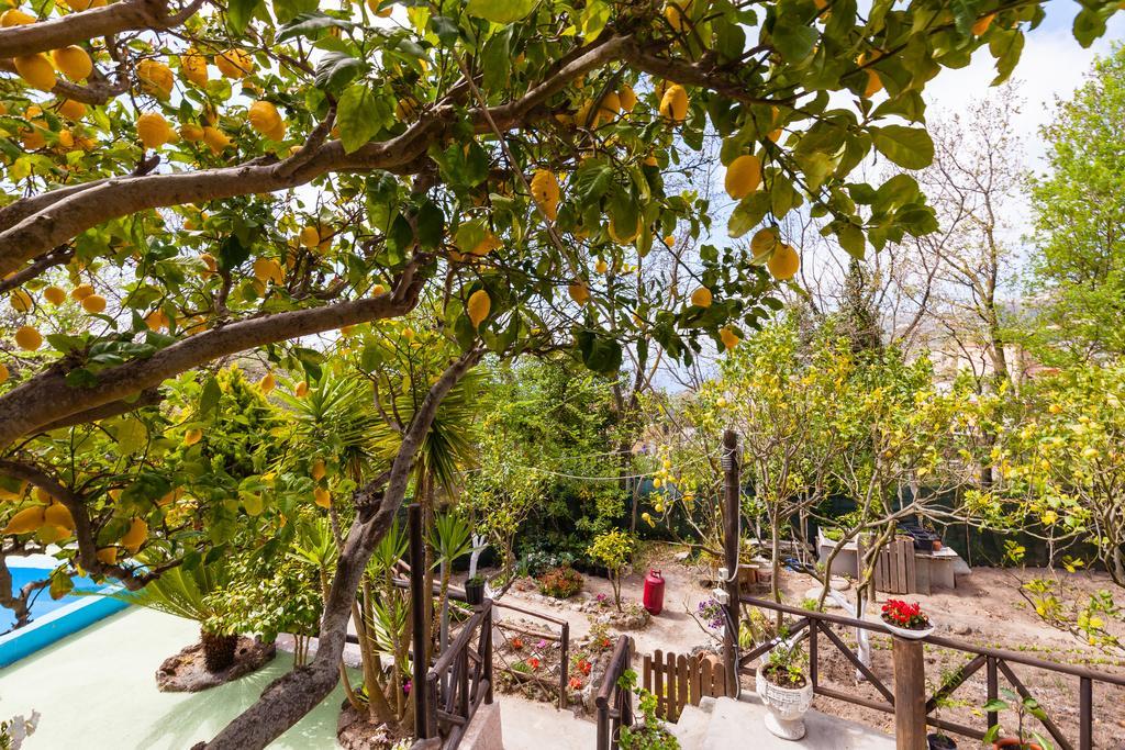 منزل الضيف Barano dʼIschia  في Nitrodi Experience المظهر الخارجي الصورة