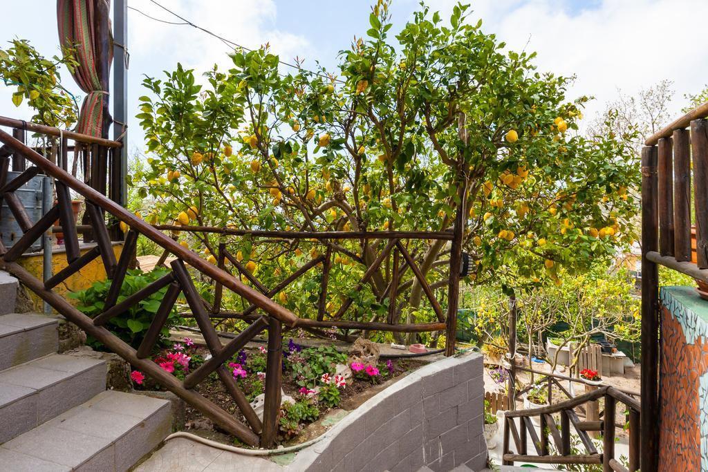 منزل الضيف Barano dʼIschia  في Nitrodi Experience المظهر الخارجي الصورة